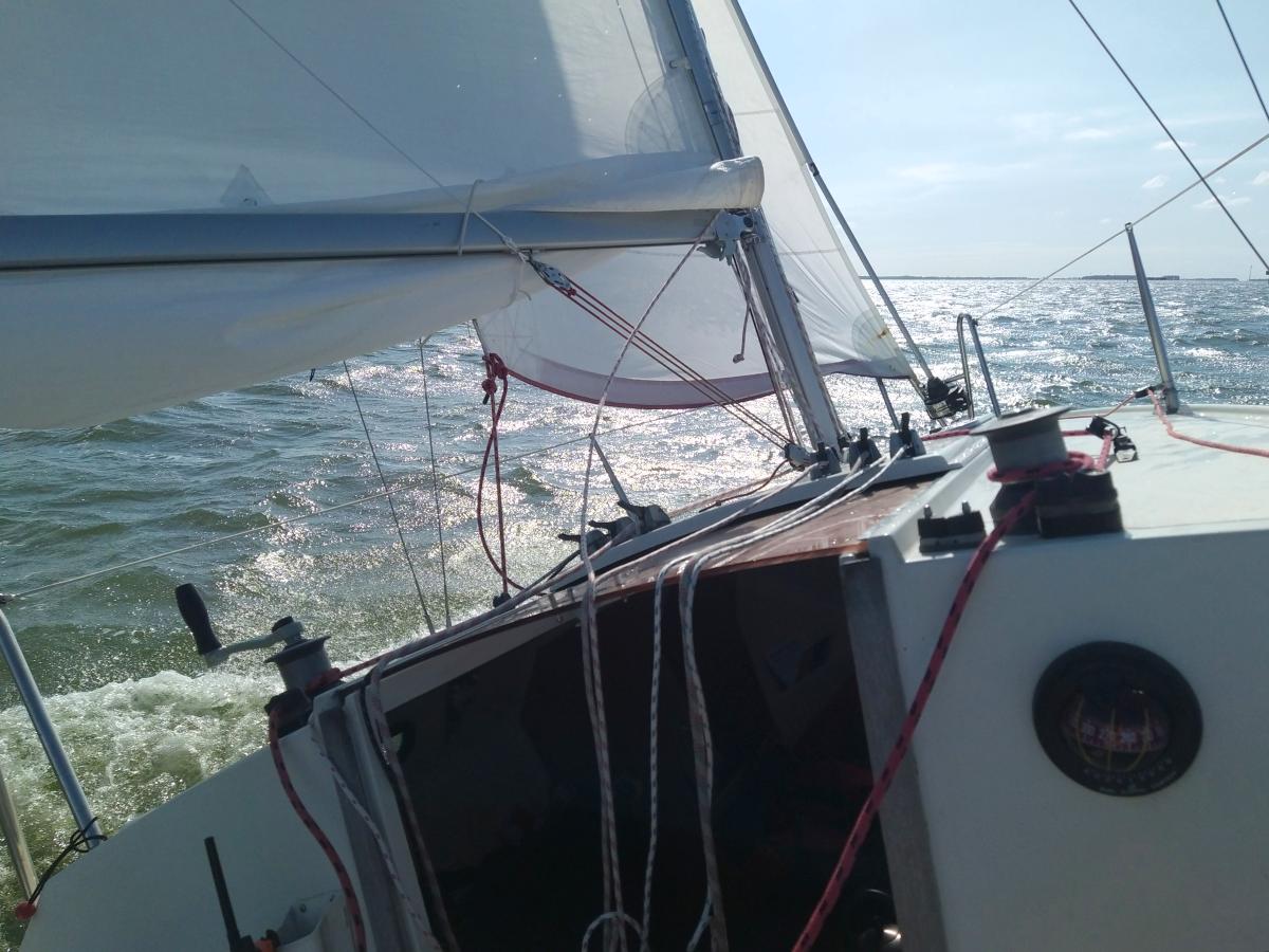 Fox&nbsp;?22 par 5 Bft