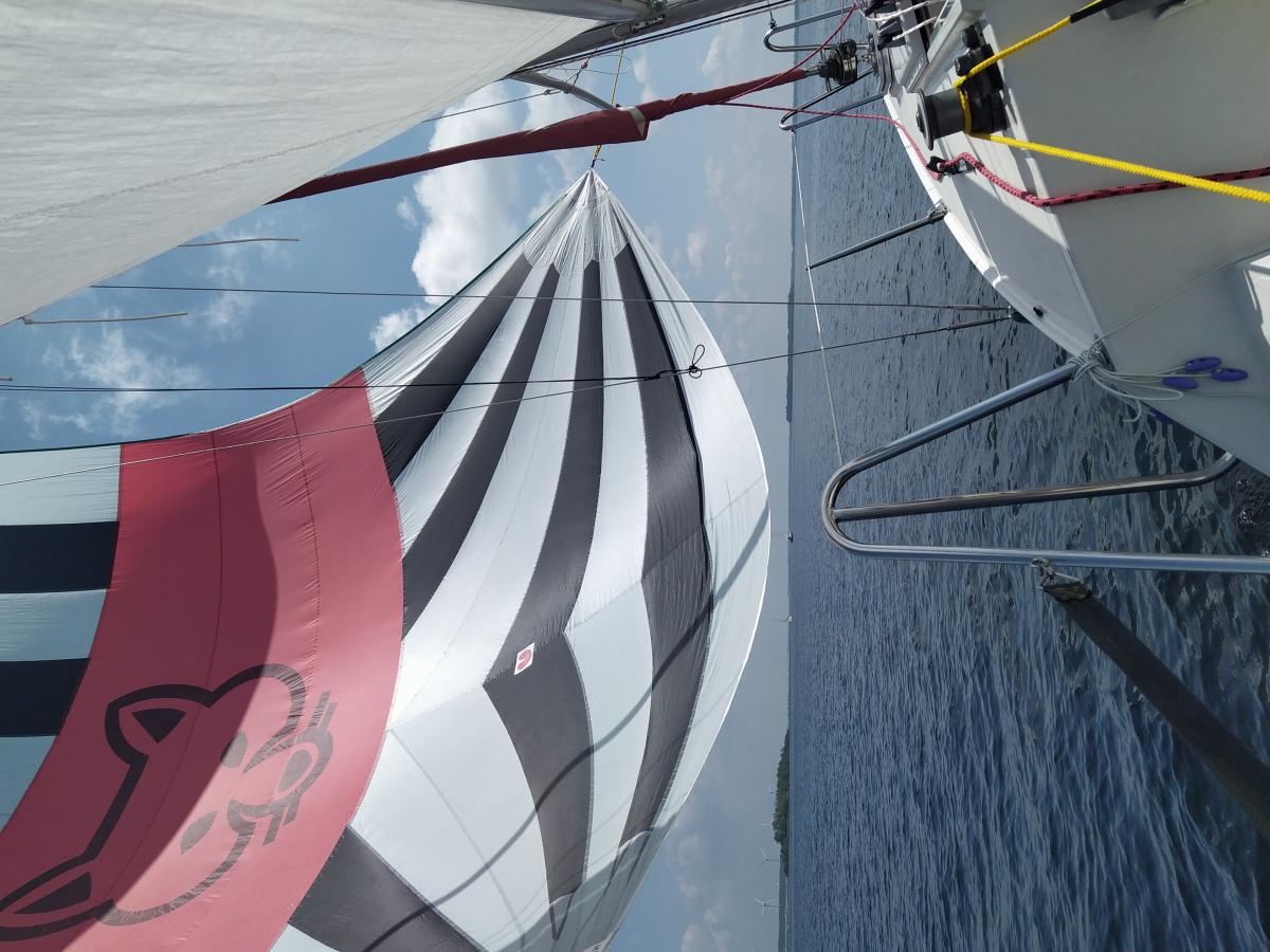 Fox&nbsp;?22 sous spi